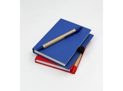 Eco Note Pad-Sticky Pad With Ball Pen