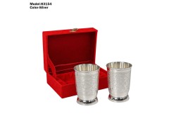 Silver Plated Glass Set