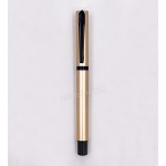Plastic Ball Pen 