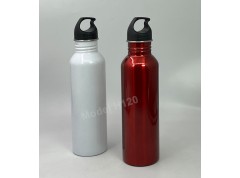 Steel Water Bottle 