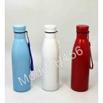 Steel Water Bottle 