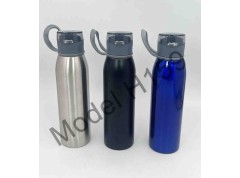 Steel Sipper Bottle with Handle 