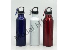 Steel Water Bottle with Hook