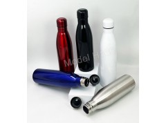 Steel Water Bottle 